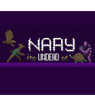 Nary Steam Key GLOBAL